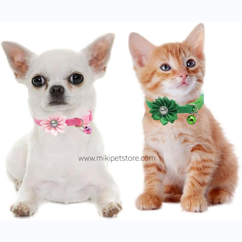 Beautiful Floral Breakaway Collar with Bell for Puppies & Cats