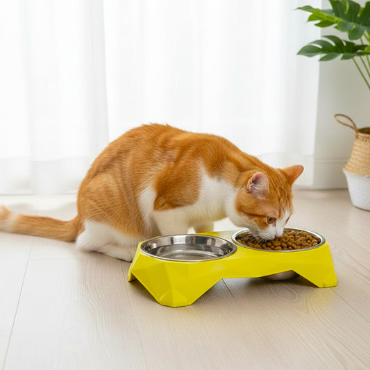 Stainless Steel Dog & Cat Bowl Stand Double Pet Food Bowls