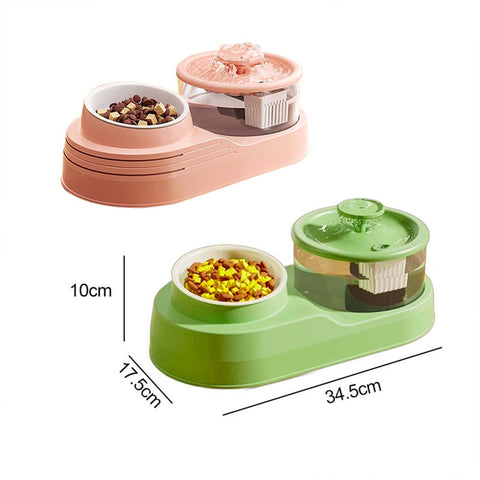 2-in-1 Cat Water Fountain & Tilted Bowl