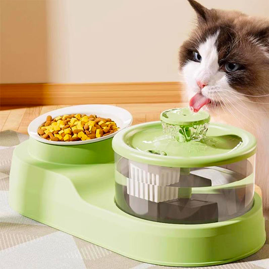 2-in-1 Cat Feeding Bowl with Electric Water Fountain