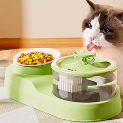 2-in-1 Cat Feeding Bowl with Electric Water Fountain