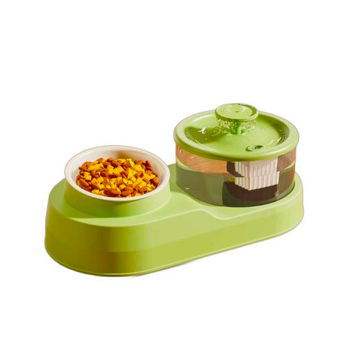 2-in-1 Cat Water Fountain & Tilted Bowl