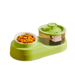 2-in-1 Cat Feeding Bowl with Electric Water Fountain