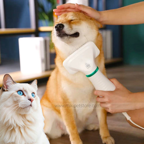 2 in 1 Pet Hair Dryer with Grooming Brush for Dogs and Cats