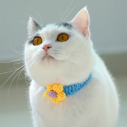Multi-Colors Cat Wool Collar