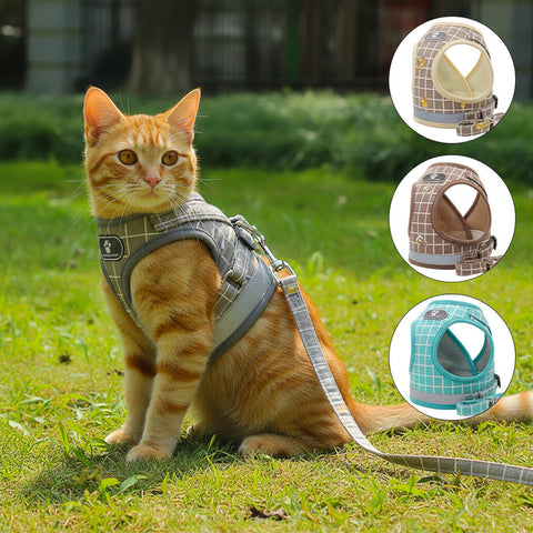 Breathable Plaid Pet Harness in Bangladesh