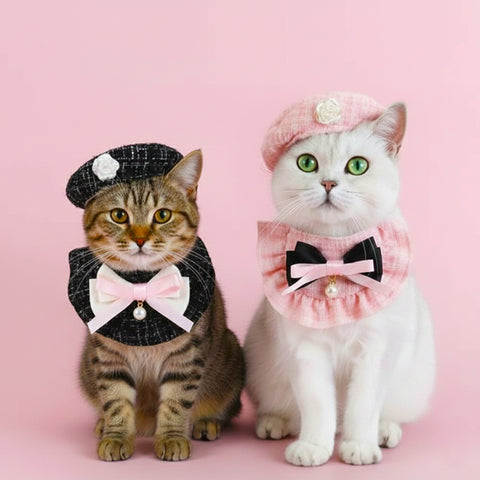 Elegant Pet Outfit Pet Hat Costume Set Beret Cap and Bandana