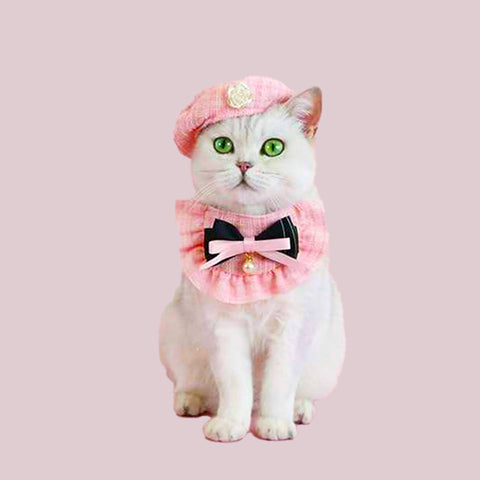 Elegant Pet Outfit Pet Hat Costume Set Beret Cap and Bandana