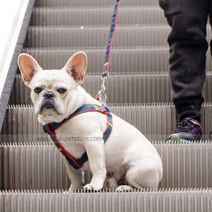 Heavy Duty Dog Harness and Leash Set