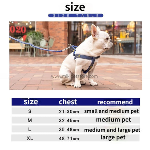 Heavy Duty Dog Harness and Leash Set
