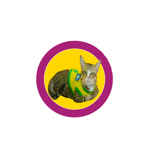 Miki Pet Store