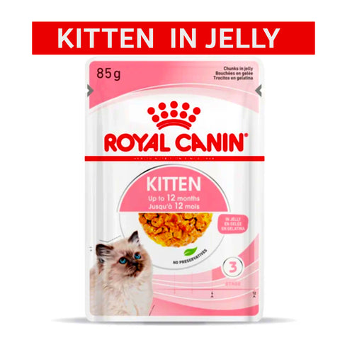 Royal Canin Kitten in Jelly 85g Wet Cat Food