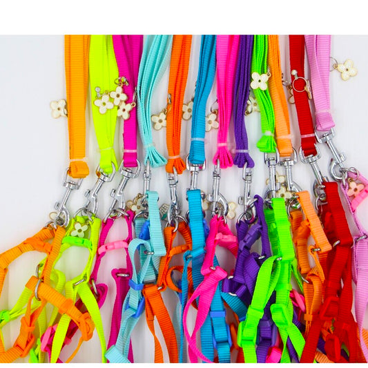 Harness & Leash Set for puppy (Random Color)