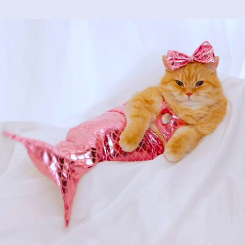 Cat Mermaid Costume- cat Dress