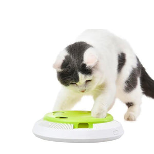 Cat Teaser Iq Training Fun Playing Kitten Chase Interactive Cat Toys