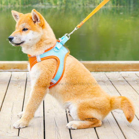 Breathable Reflective Cat Harness and Leash Set