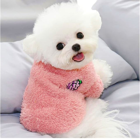 Cat and Small Dogs Coat Fruit Pet Clothes Ropa Perro York