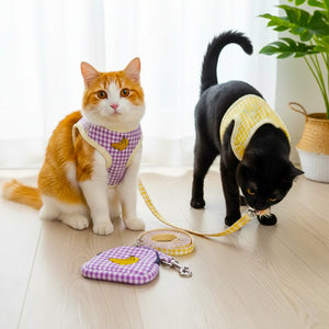 Luxury Pet Harness & Leash Set for Small Dog & Cat