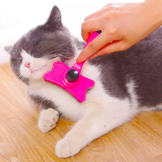 Self-cleaning  Pet Cat & Dog Grooming Brush