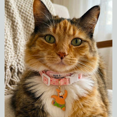 Patrick Star Character Charm  Cat Collar