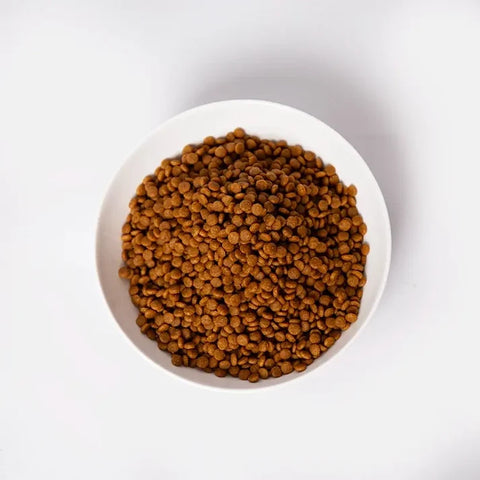 Pramy Carnivore Kitten Dry Cat Food with Salmon & Goat Milk
