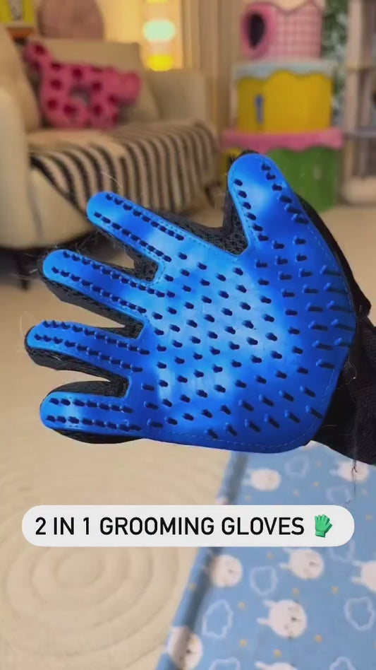 pet gloves