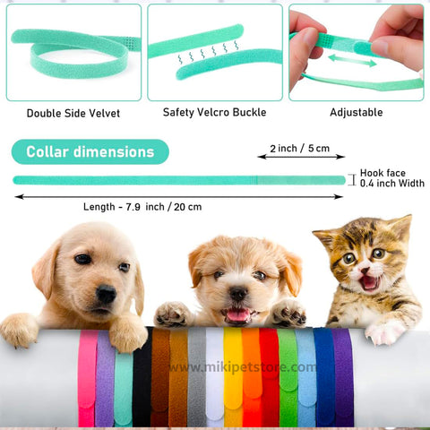 Puppy and Kitten Cat Collars Adjustable Nylon Band
