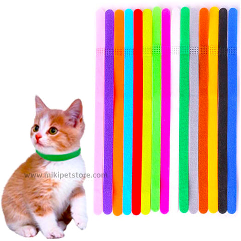 Puppy and Kitten Cat Collars Adjustable Nylon Band