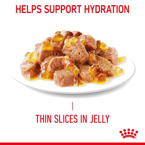 Royal Canin Urinary Care in Jelly Wet Food (85 g)
