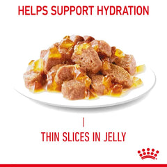 Royal Canin Wet Food Urinary Care Jelly 85g