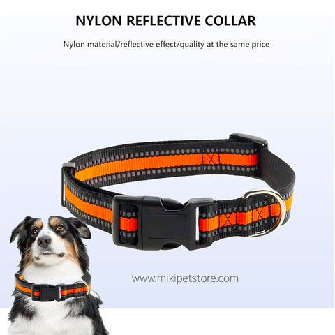 Adjustable Nylon Dog Collar with D Ring
