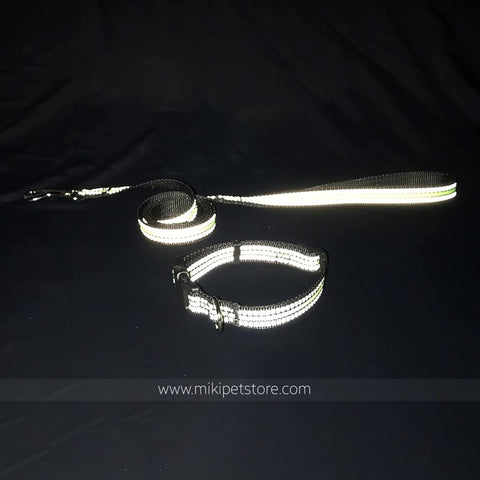 Adjustable Nylon Dog Collar with D Ring
