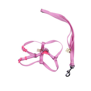 Harness & Leash Set for puppy (Random Color)