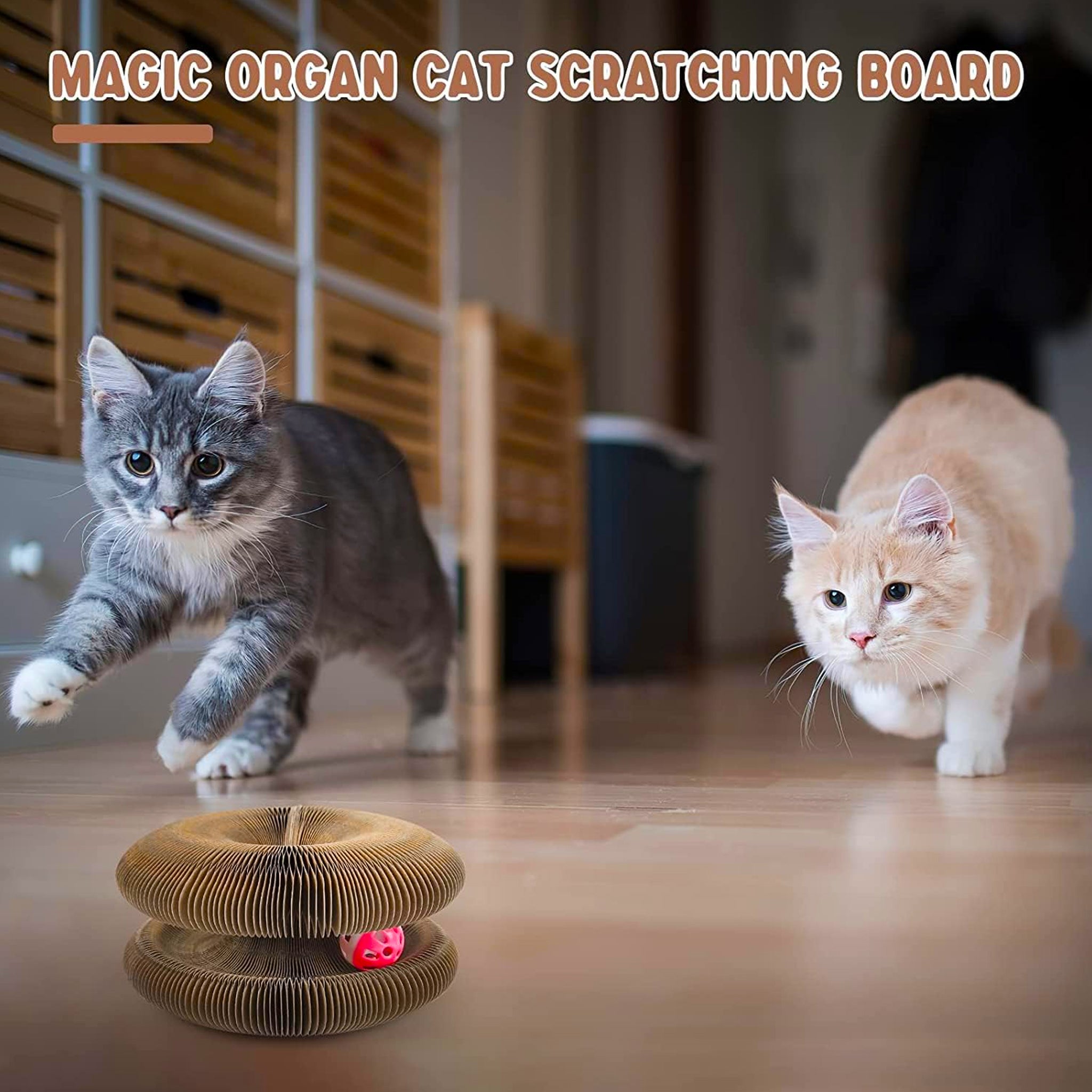 Magic Accordion Cat Scratching Board – Interactive Claw Grinder & Toy