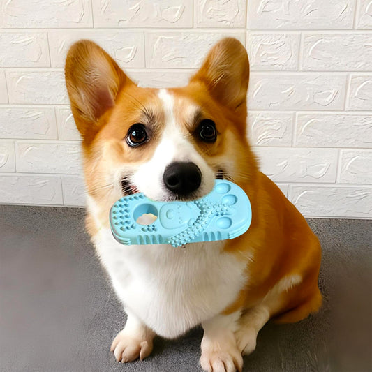 Dog Teething Toy Slipper-Shaped Dog Chew Toy