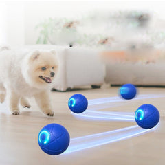 Smart Automatic Rolling Pet Ball Toy