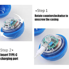 Smart Automatic Rolling Pet Ball Toy