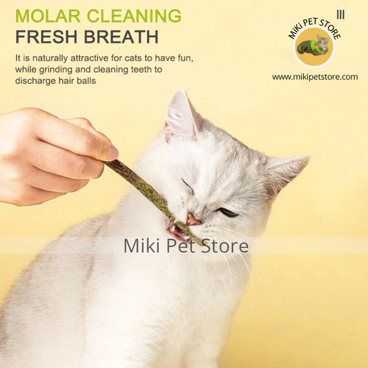 Treat Cat Mint Sticks - Cat Chew Toy Kitten Teething Toys Catnip Toys,Cats Stick Kitten Teething Interactive Wand Toys For Bored Cats