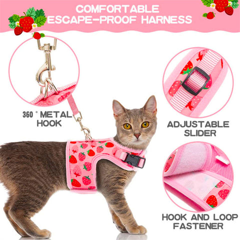 Breathable Mesh Cat & Dog Harness Set
