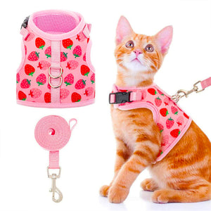 Breathable Mesh Cat & Dog Harness Set