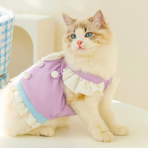 Bangladesh summer outfit for pets – fashionable dress for dogs and cats with bow detail.