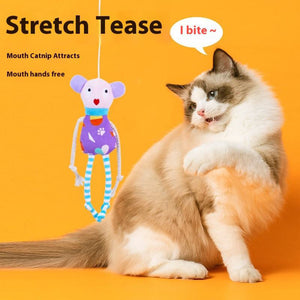 Interactive Catnip Plush Toy for Cats