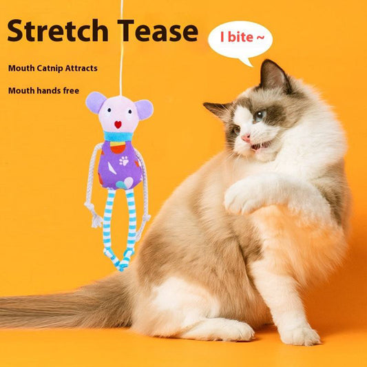 Interactive Catnip Plush Toy for Cats