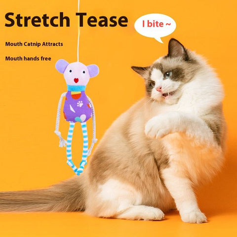 Interactive Catnip Plush Toy for Cats