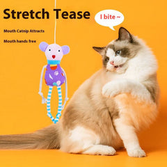 Interactive Catnip Plush Toy for Cats