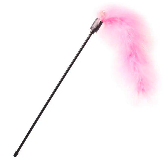 Cat Teaser Stick Toy with Colorful Turkey Feathers – Interactive Play for Cats