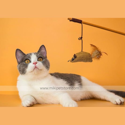 Cat Teaser Fishing Pole with Mouse Toy – 7-in-1 Combo  | Indoor & Outdoor Play