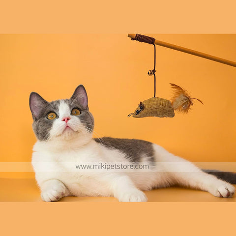Cat Teaser Fishing Pole Toy  7 in 1 Set