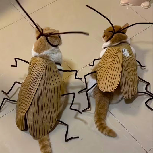 Cat Suit – Cockroach Cosplay for Pets