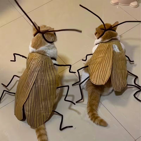 Funny Cockroach Cosplay Cat Suit